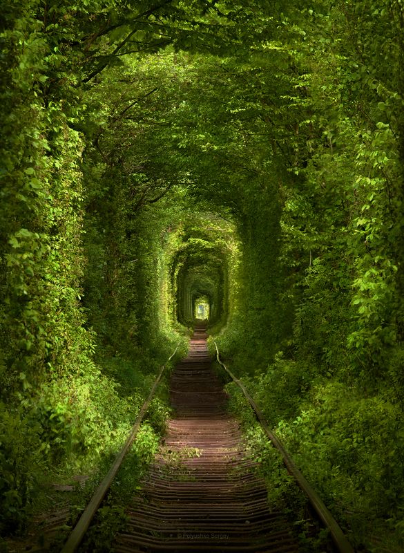 Туннель любвиphoto preview