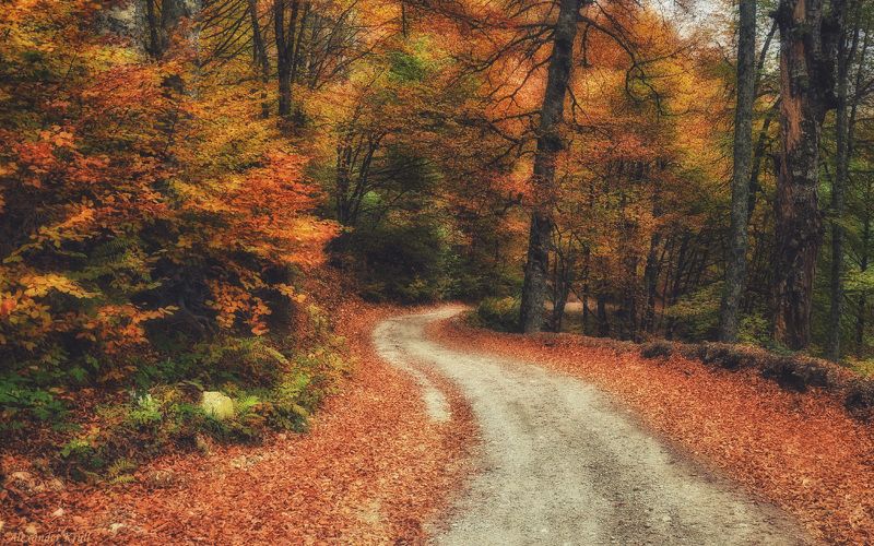 С рыжей спутницей по горной дорожке...photo preview