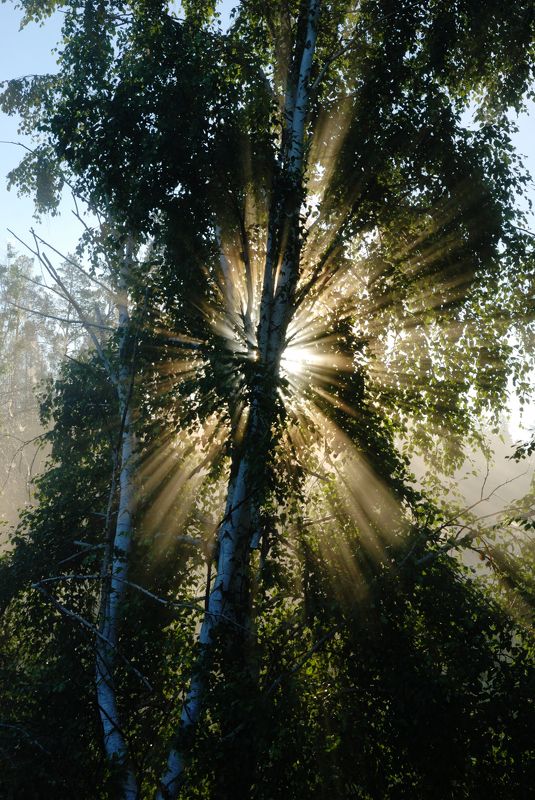 Утроphoto preview