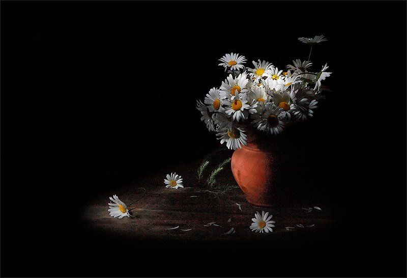 Ромашковая грустьphoto preview