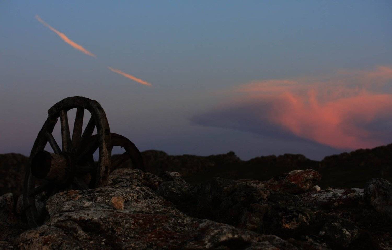 , Татьяна Алешина