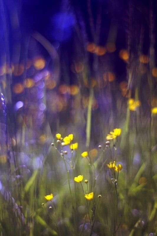 Воспоминанияphoto preview