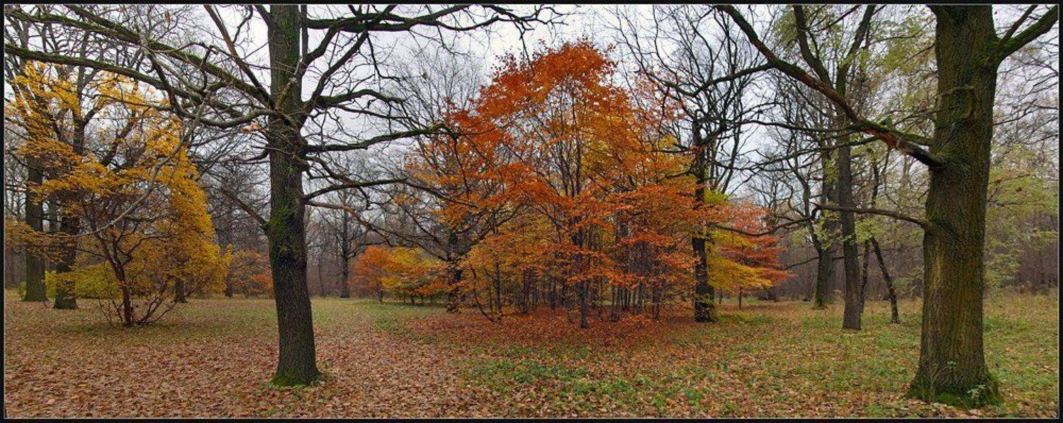 , Вадим Казаков