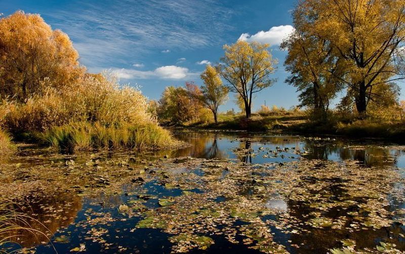 Осенние краскиphoto preview