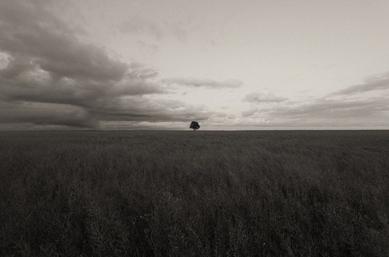 пейзаж Гармонияphoto preview