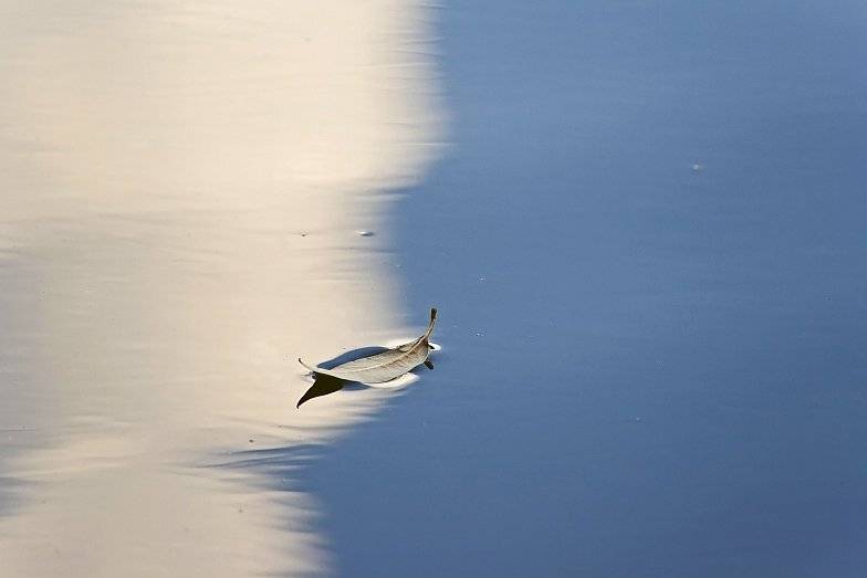 "Плыви,мой челн". Автор: Igor , Igor