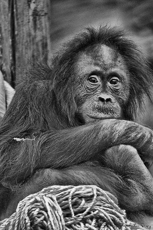 взглядphoto preview