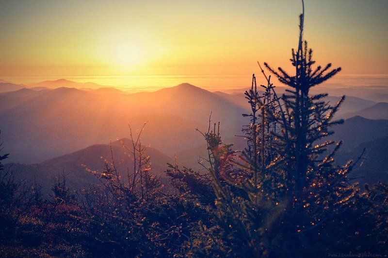 японское, море, хвоя, сихотэ, алинь, приморский, уссурийский, край, тайга, горы, конец, дня Это про мореphoto preview