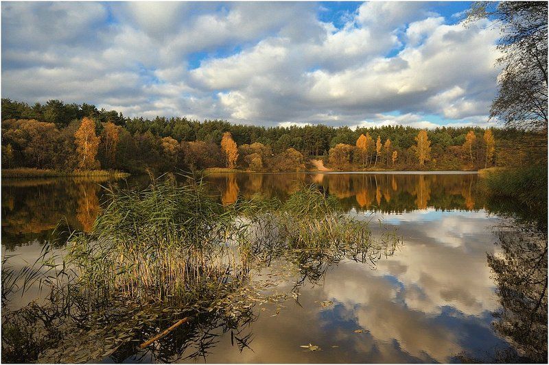 Осенняяphoto preview