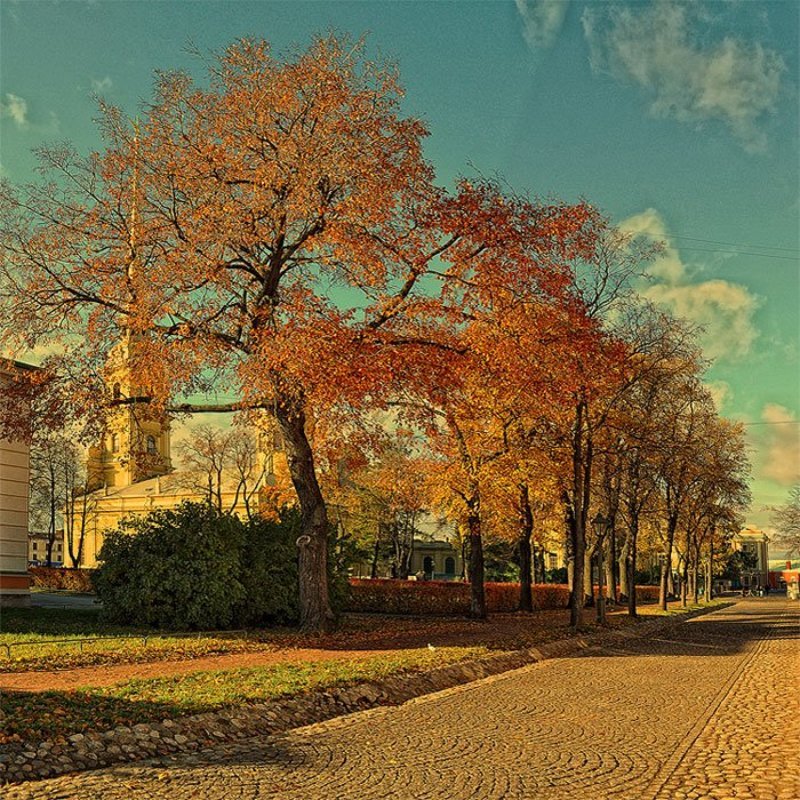 Золотаяphoto preview