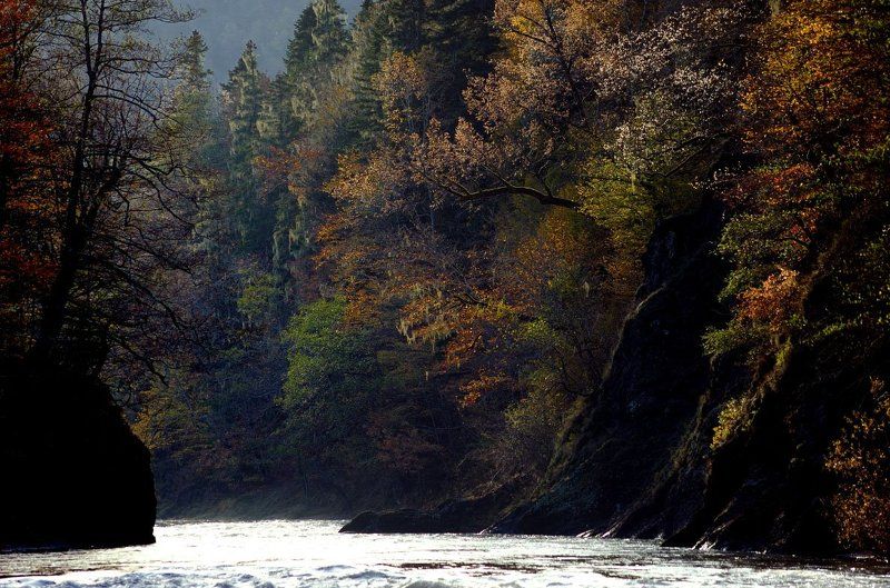 кипящая, река , осень заповедник кавказ берег Кипящая рекаphoto preview
