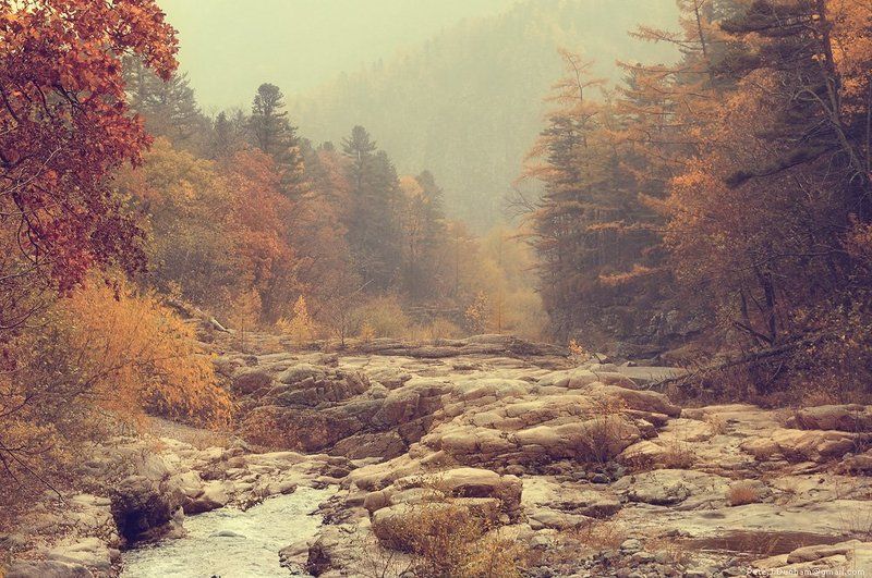 река, ван-чин, милоградовка, приморье, сихотэ-алинь, тайга, лес, осень, дымка, пелена, каньон, скалы, ущелье, пороги, горная Таёжная речнаяphoto preview