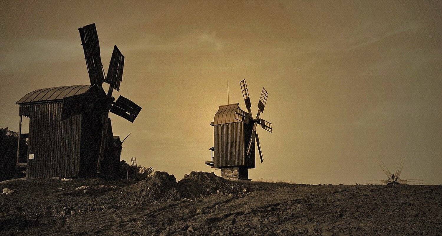 , Vasylevskyy Vitaliy