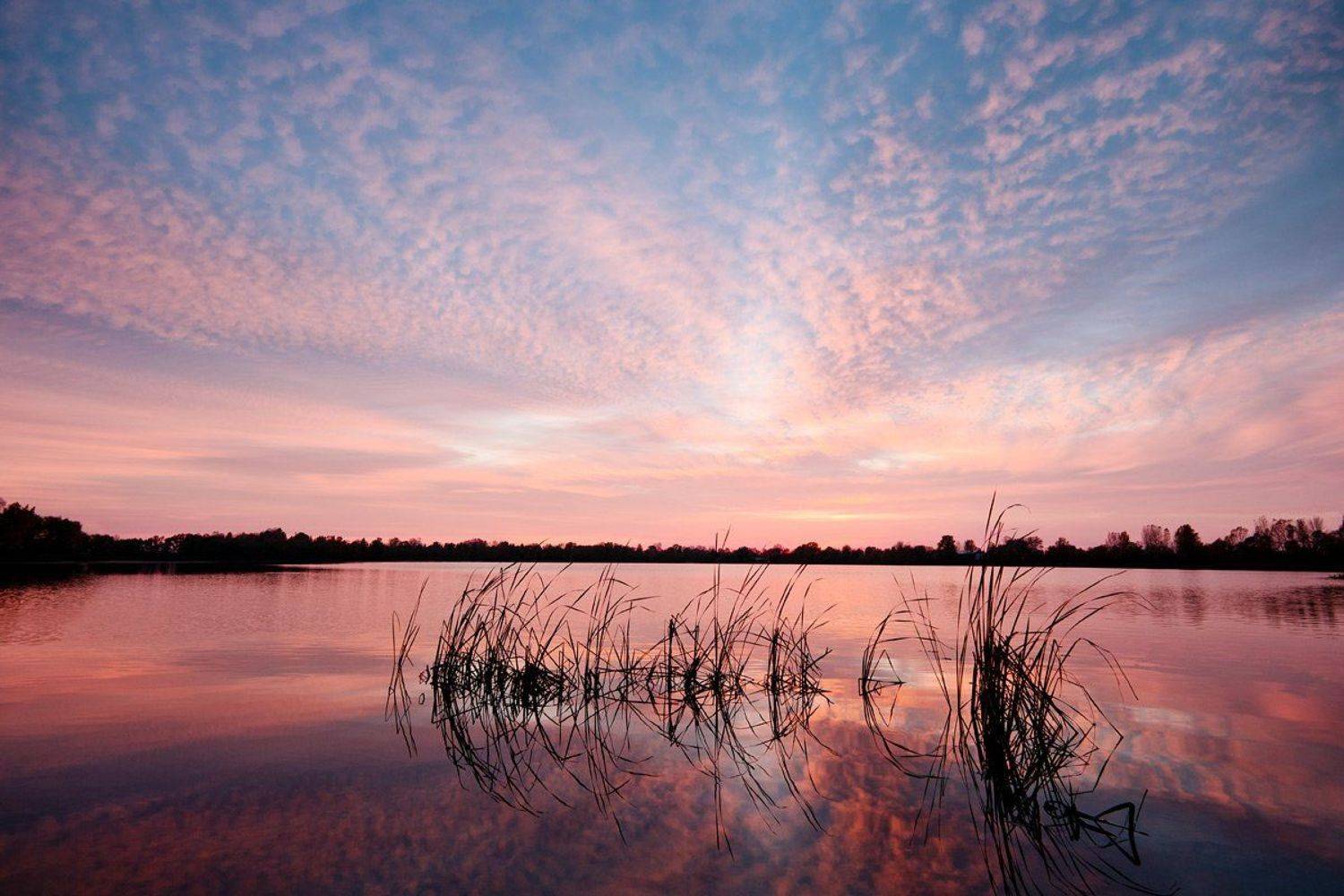 , Роман Николаев