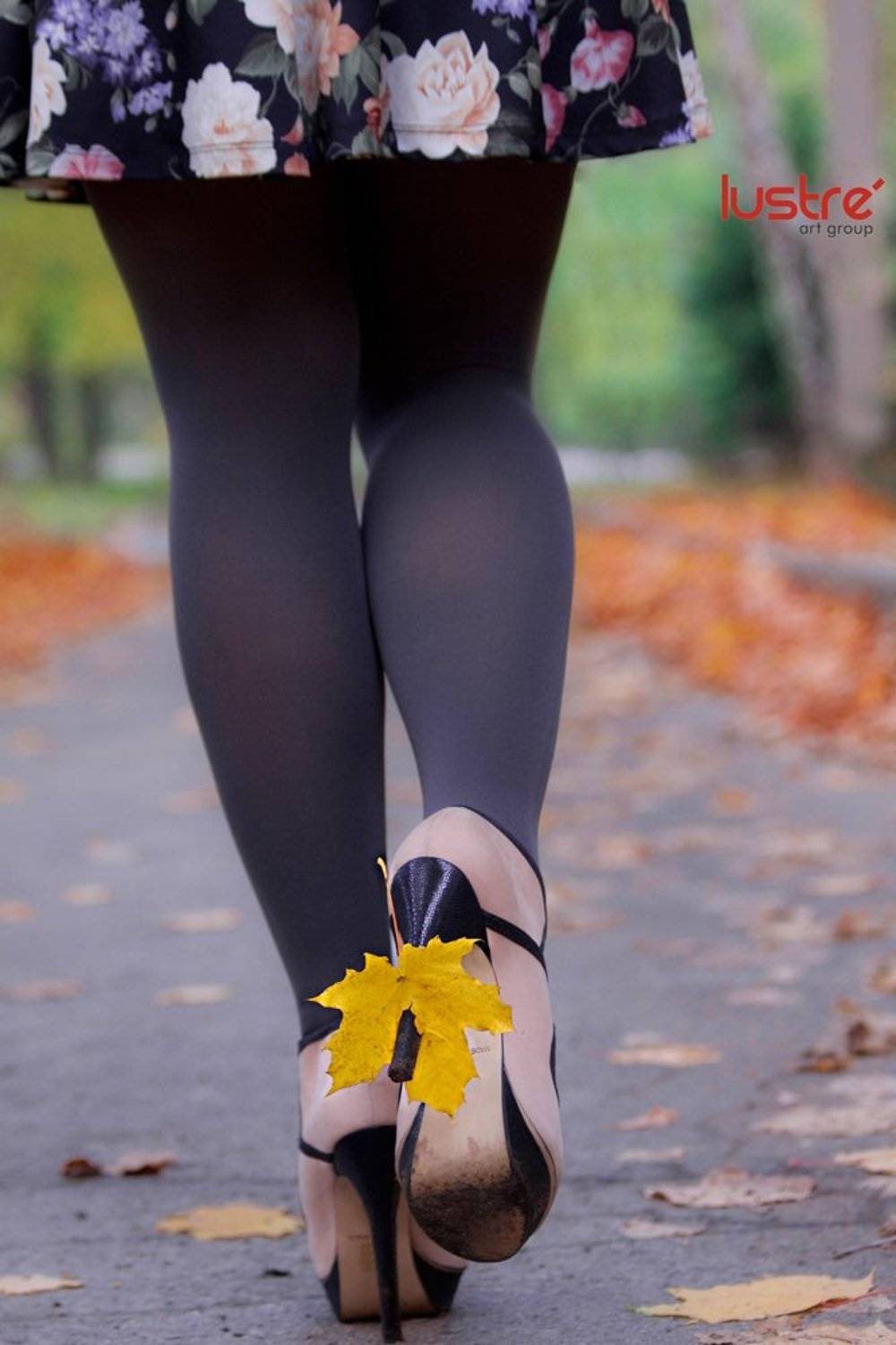 листок, каблуки, осень, Lustre