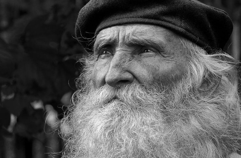портрет, печаль, старик, взгляд И мудрость и печаль ...photo preview