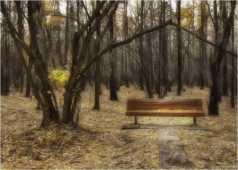 Осенние зарисовкиphoto preview