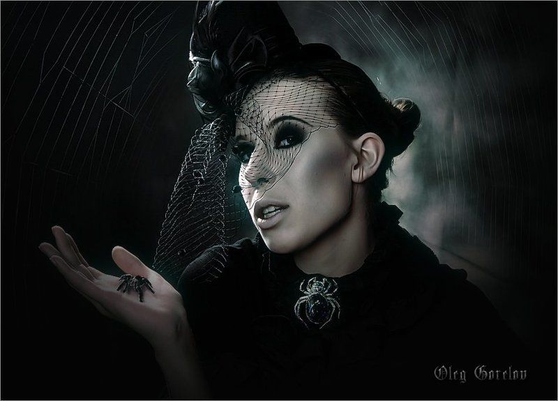 Черная вдоваphoto preview