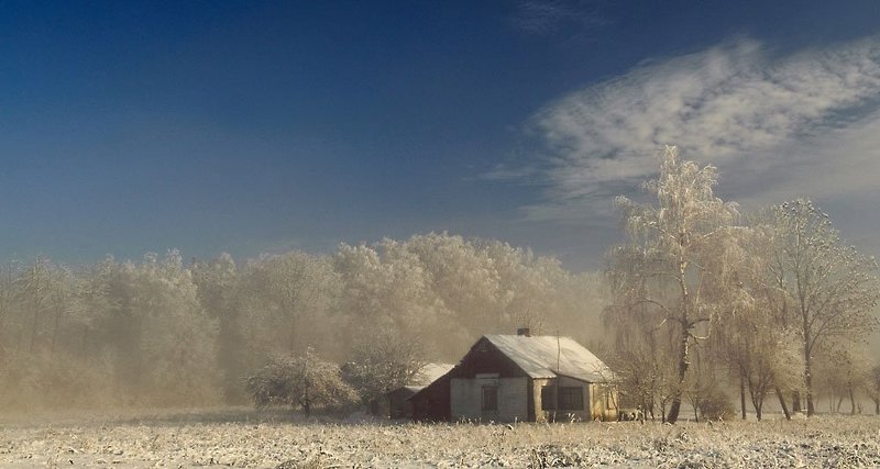 In the mistphoto preview