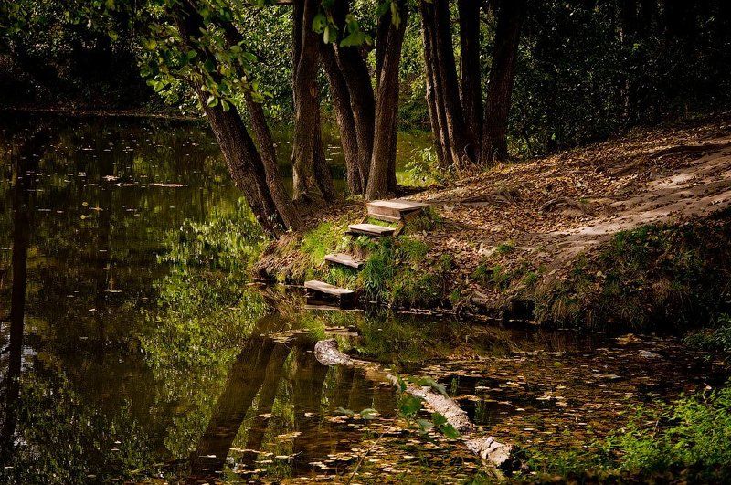 Ступенькиphoto preview