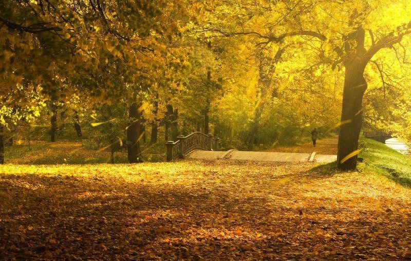 Театр осениphoto preview