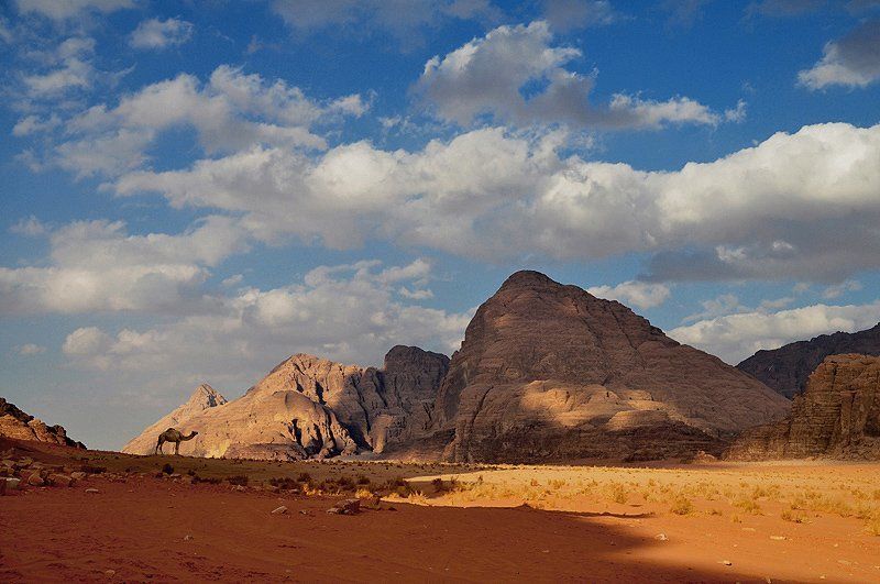 иордания вади рамphoto preview