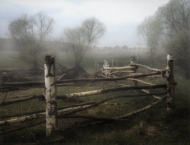 окрестности д.Волковоphoto preview