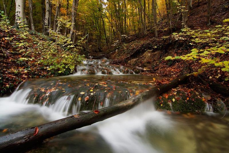 переправаphoto preview