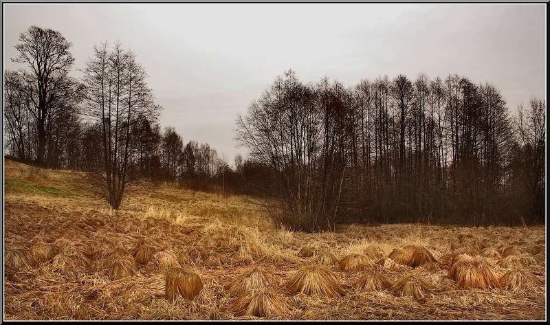 spjashchiji trolli...photo preview