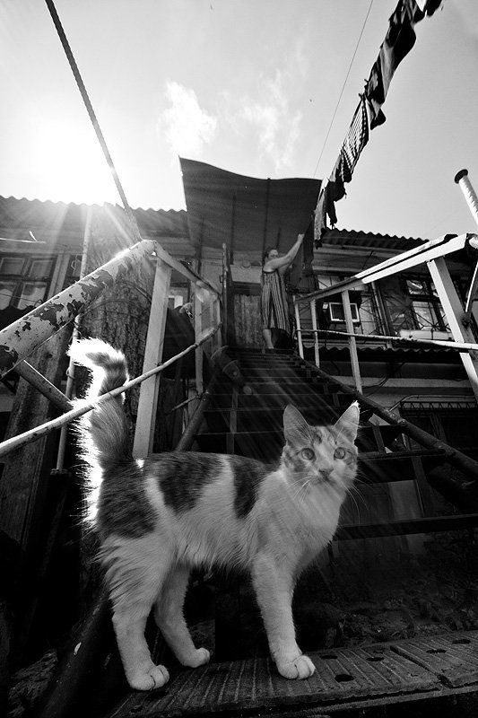 Одесскаяphoto preview