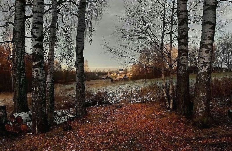 Осень у моего окнаphoto preview