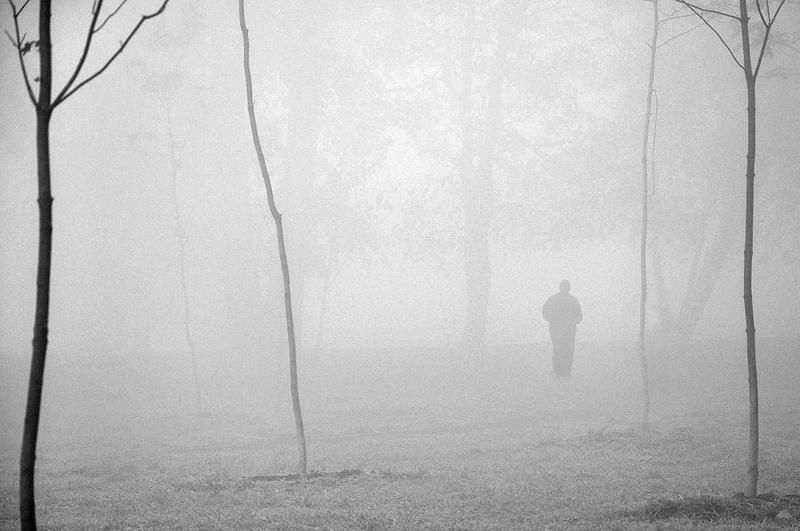 nature, early morning ***photo preview