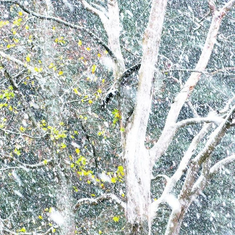 Встречая зимуphoto preview