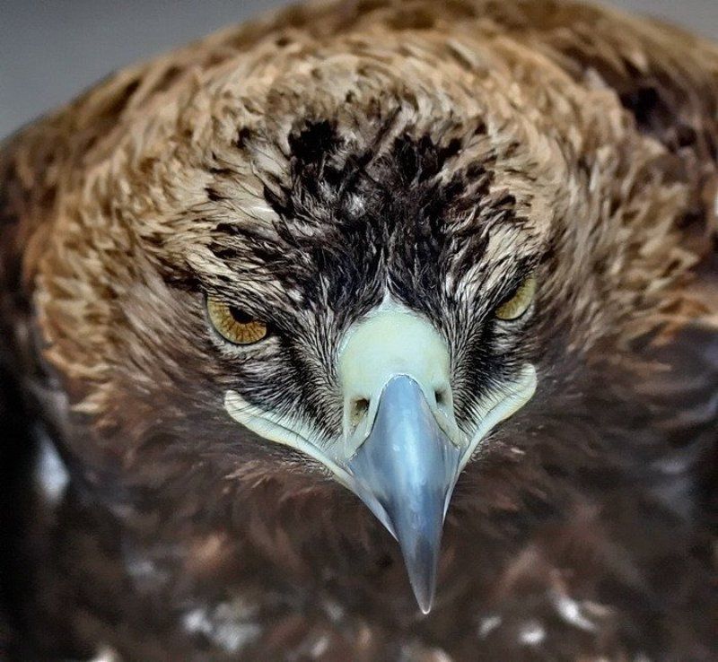 У меня свой взгляд на мир...photo preview