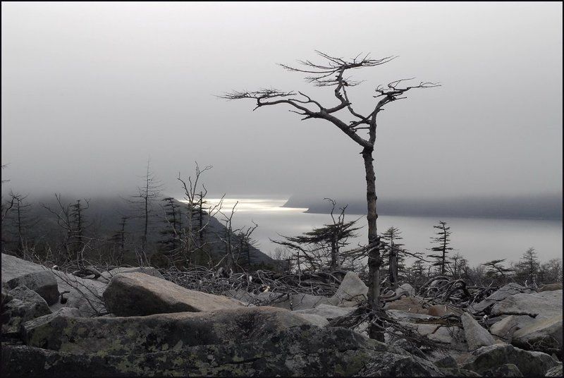 магадан, нагаевская бухта Там, за туманами...photo preview