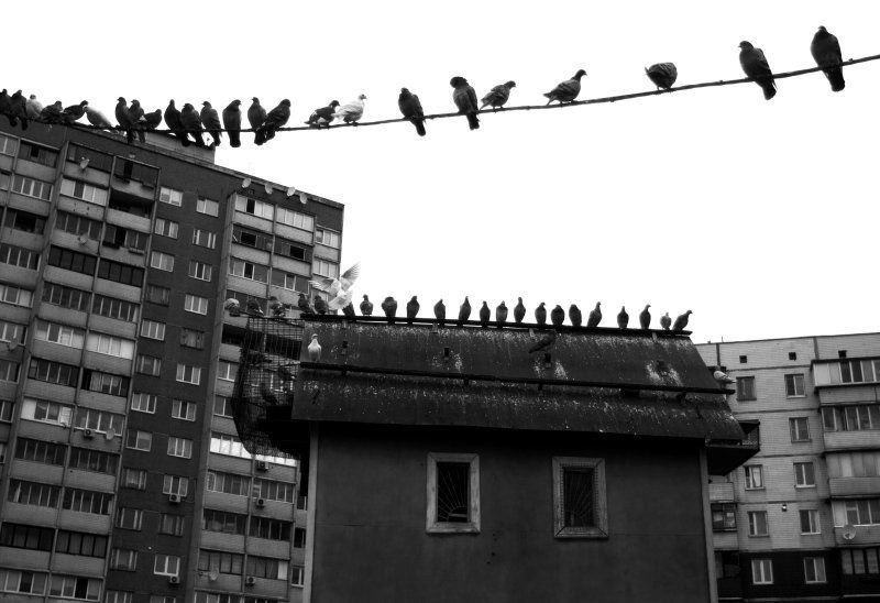 жилые кварталыphoto preview