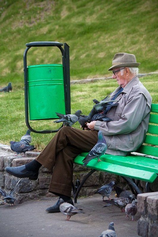 Голуби голубиphoto preview