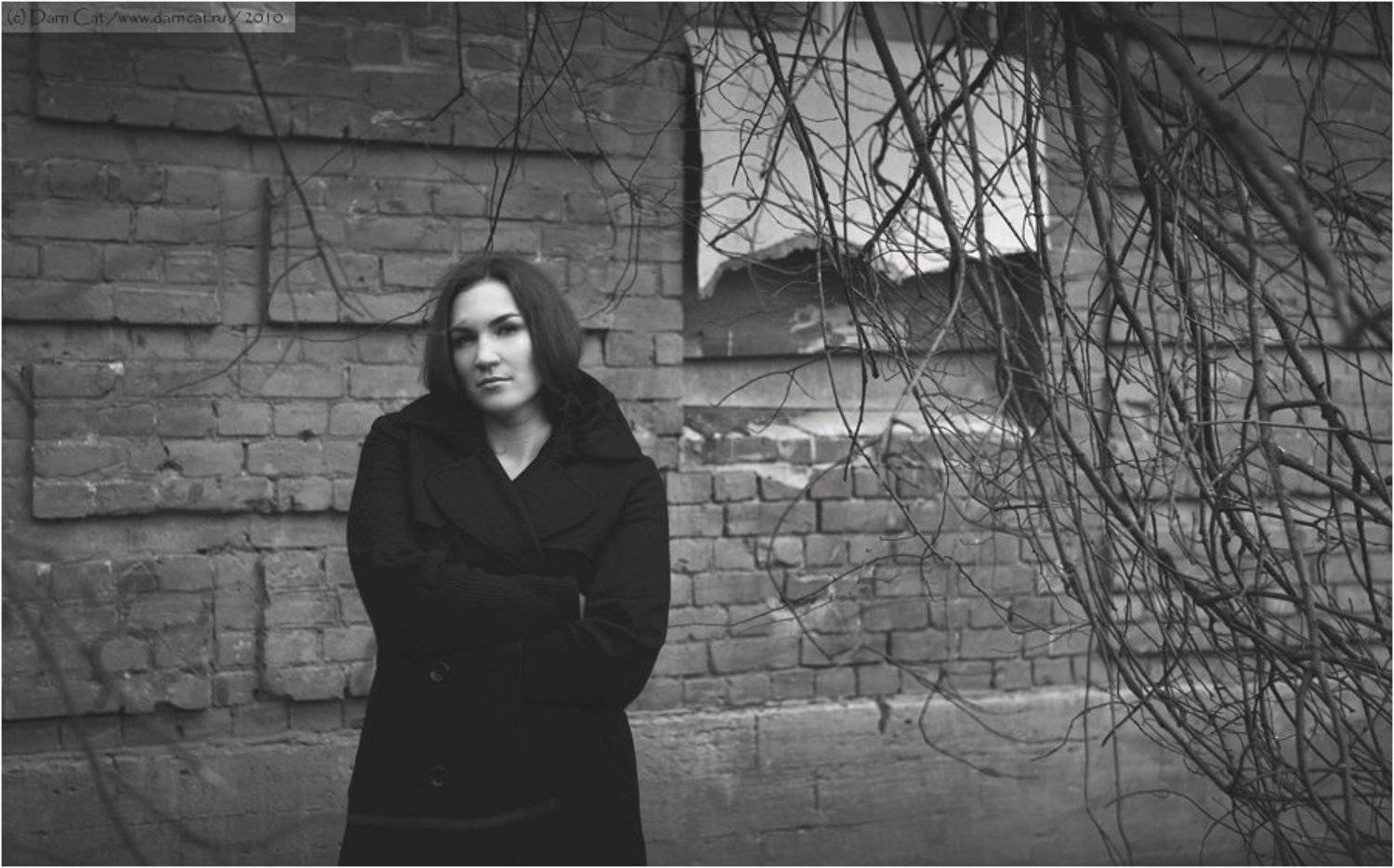 девушка, , возвращение, воспоминания, грусть, Darn Cat