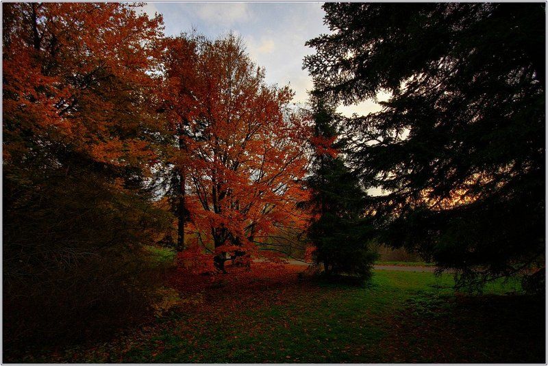 осень ***photo preview