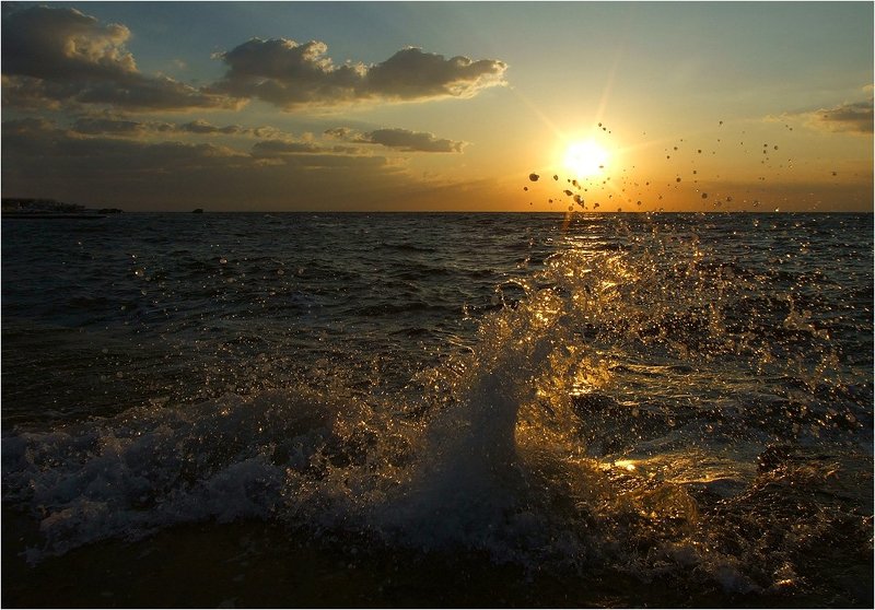 На гребне волныphoto preview