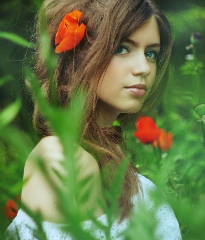 summer, girl, девушка, лето, маки, портрет ...photo preview
