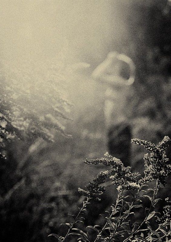 травы в осениphoto preview