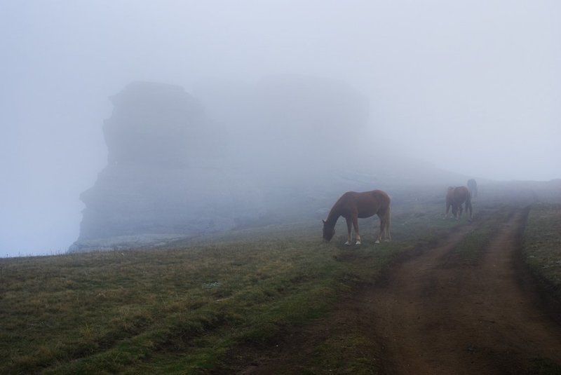Лошади в облаках...photo preview