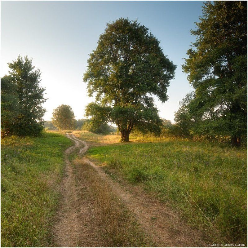 притяжениеphoto preview