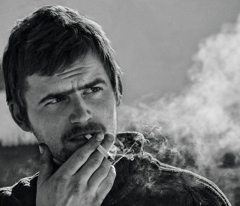 vasilisa Трактористphoto preview