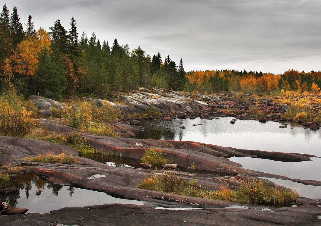 ***. Автор: Александр Коротков , Александр Коротков