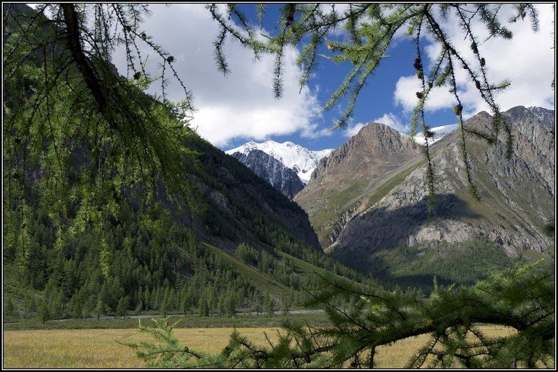алтай, маашей, карагем На Карагемской поляне.photo preview