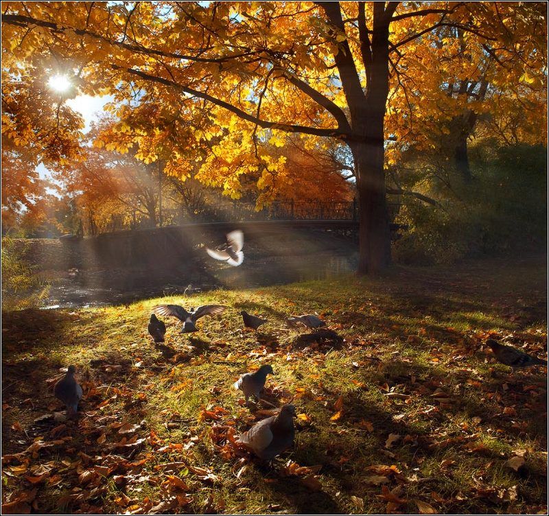 Вспоминая бабье летоphoto preview