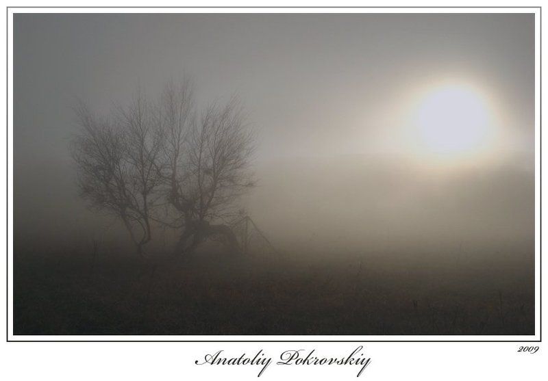 туман, вечер, тирке, тырке Видимостьphoto preview