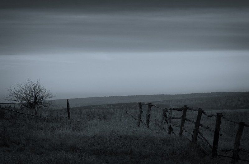 В такт осениphoto preview